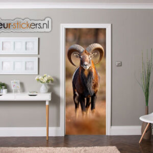 deursticker Mouflon